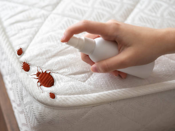 Best Indoor Pest Control  in Charleston, IL